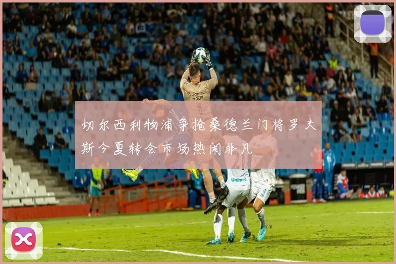 切尔西利物浦争抢桑德兰门将罗夫斯今夏转会市场热闹非凡