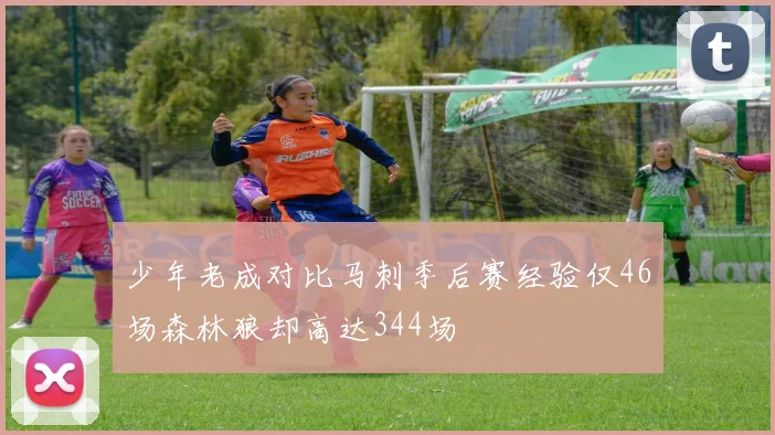 少年老成对比马刺季后赛经验仅46场森林狼却高达344场
